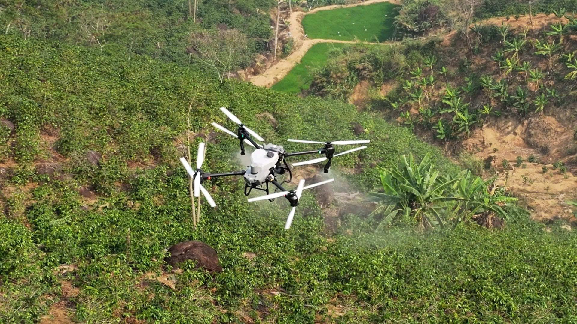 uav4.jpg