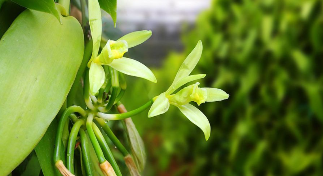 Sở KHCN Tuyển chọn tổ chức, cá nhân thực hiện nhiệm vụ khoa học và công nghệ cấp tỉnh năm 2026